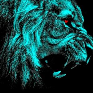 Meet your Posher, Jesse